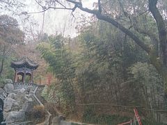 -西安曲江寒窑遗址公园