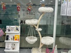 -爱洗澡的猫(天河路店)
