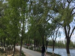 -石家庄市植物园