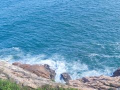 -广东惠东海龟国家级自然保护区