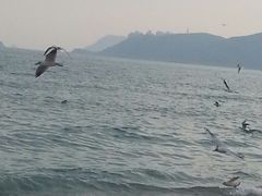 -海云台海滩