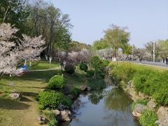 -羊山湖公园