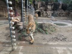 -荆州中山公园动物园