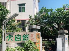 -大自然素食(望桐路店)