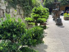 -普陀山慧济禅寺