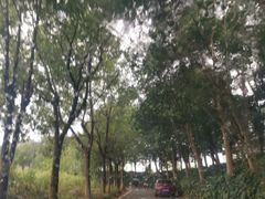 -千龙湖生态旅游度假区