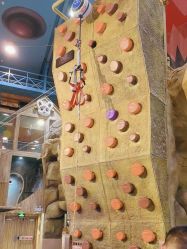 -卡通尼·Safari非洲探索乐园·生日会(金桥国际商业广场店)