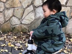 -八爪矩阵极限运动馆·儿童平衡车·感统训练(南海子公园校区)