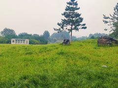 -汉长安城未央宫国家考古遗址公园