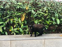 -车公庙(地铁站)