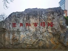 -洛阳市牡丹公园