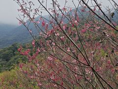 -福清灵石山国家森林公园