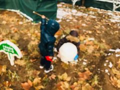 -大兴滨河森林公园