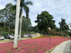 -广州市流溪河国家森林公园