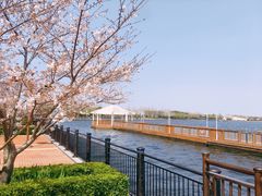 -迪士尼小镇