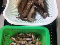 -蚝专家