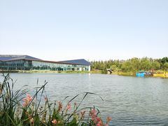 -上海长兴岛郊野公园