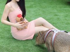 -苏州阳澄半岛英迪格酒店