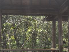 -吴淞炮台湾湿地森林公园烧烤区