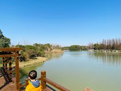 -艾溪湖湿地公园