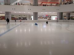 -TheRink大零溜冰场(IFS国金中心店)