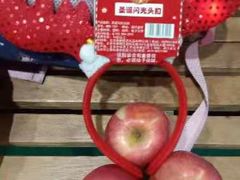 -杰锐体育·美华中学运动中心