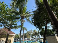 -三亚海棠湾万丽度假酒店