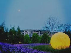 -金海湾滨江公园