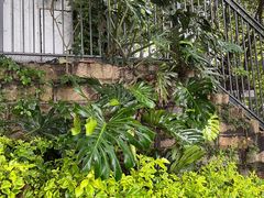 -厦门泰谷酒店(中山路镇海路地铁站店)