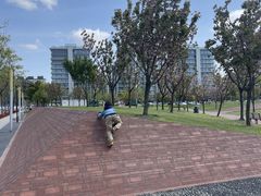 -上海山野camping·户外天幕烧烤·团建拓展营地