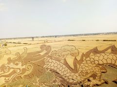 景点-稻梦空间