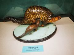 -国家自然博物馆