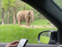 -北京野生动物园