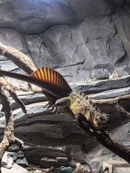 -Zoolung Zoolung动物主题公园(海信广场店)