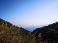 -军营村