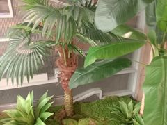 -湊湊火锅·茶憩(皇姑万象汇店)