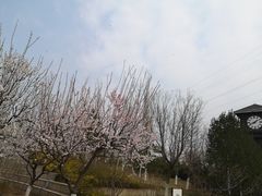 -永定河休闲森林公园