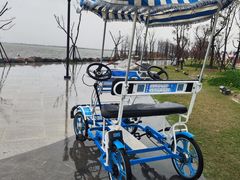 -春花秋色城市公园