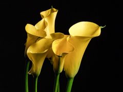 -镜泊小镇(东长安街店)