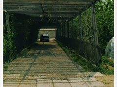 -大自然农场蔬菜草莓采摘园