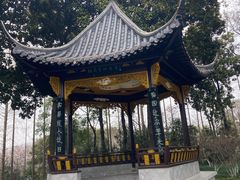 -梅园