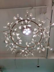 -潘多拉Hairsalon