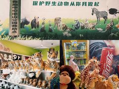 -荆州中山公园动物园