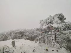 -安吉龙王山风景区