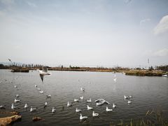 -呈贡滇池生态湿地公园