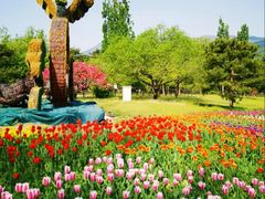 -国家植物园