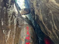 -武陵山森林公园