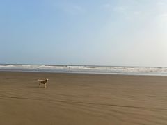 -珠海金沙滩