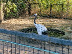 -盐城丹顶鹤湿地生态旅游区