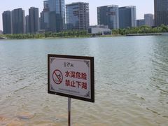 -金沙湖公园